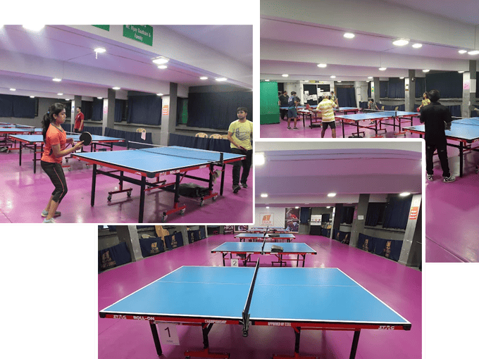 Table Tennis Coaching 